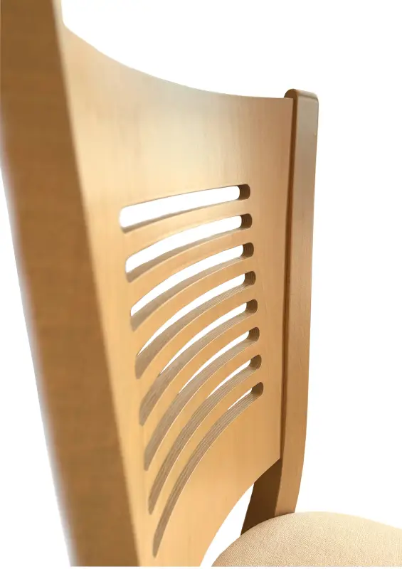 Židle CZH 016 stohovatelná